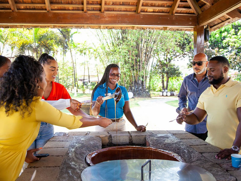 affordable-tours-jamaica-appleton-estate-rum-factory-taste