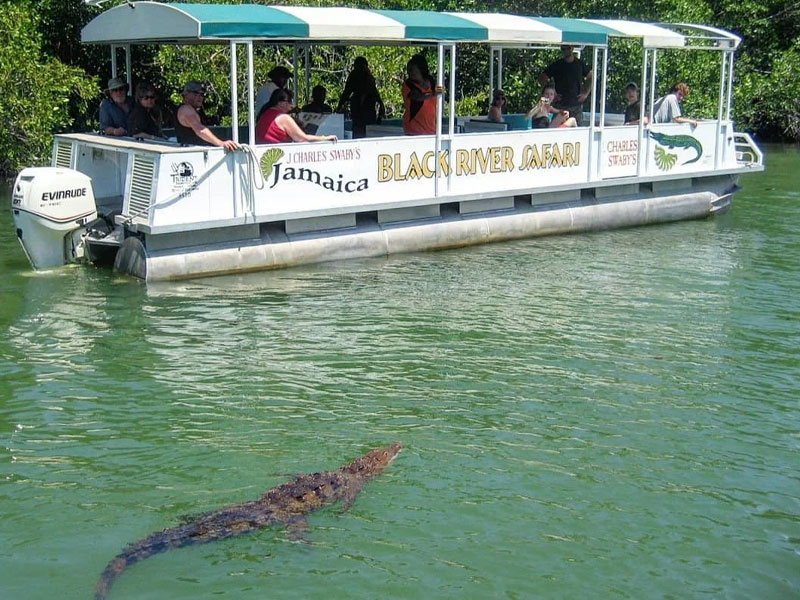 affordable-tours-jamaica-attractions-black-river-safari-1