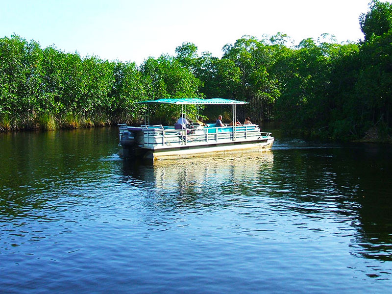 affordable-tours-jamaica-attractions-black-river-safari