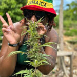 Weed Farm and Bird Sanctuary Tour