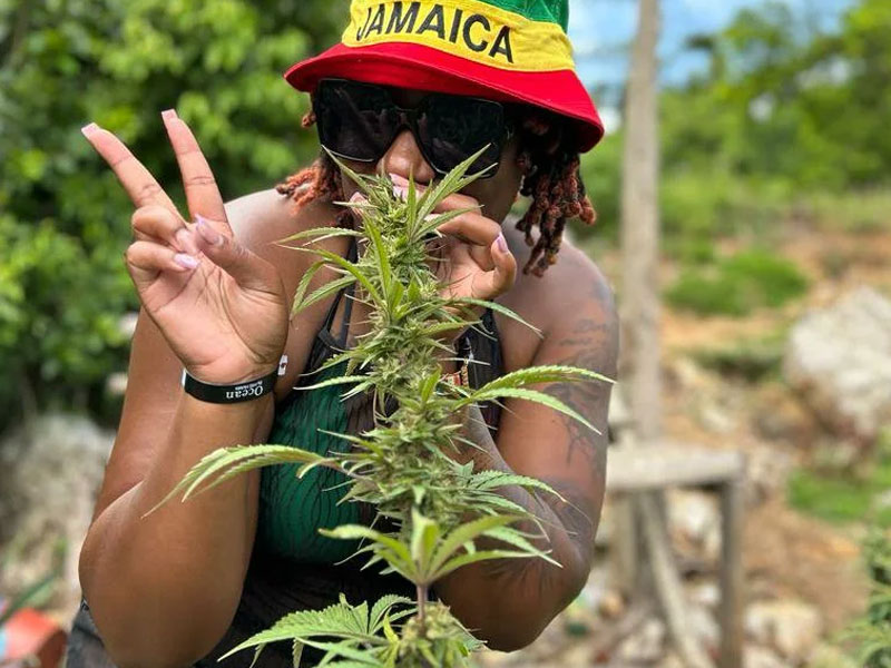 affordable-tours-jamaica-attractions-weed-farm-tour-1